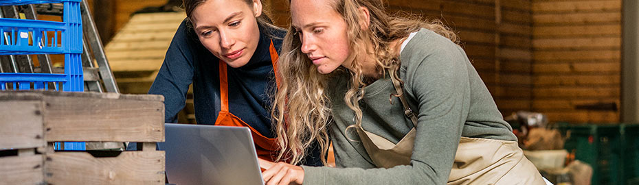 Online Banking Fur Firmenkunden Berliner Volksbank